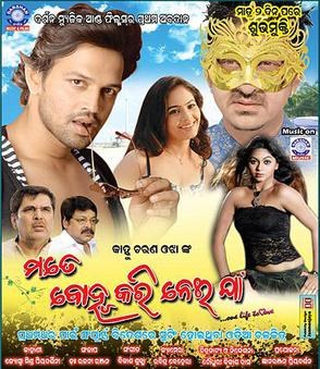 Mate Bohu Kari Nei Jaa poster