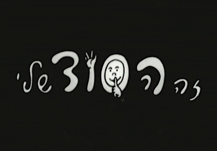 זה הסוד שלי poster