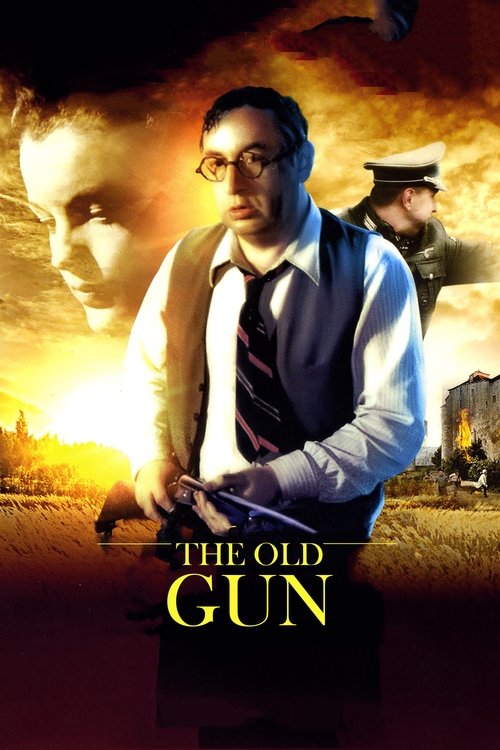 Le vieux fusil poster