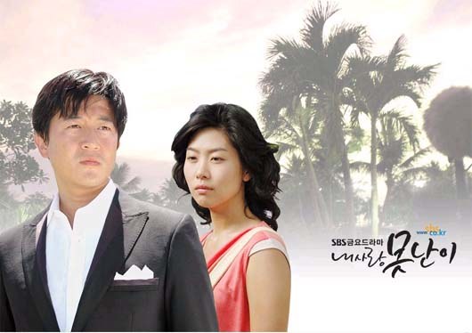 My Lovely Fool poster