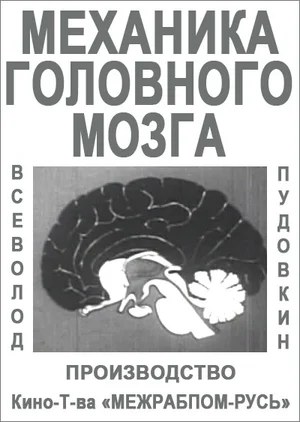 Mechanics of the Brain poster