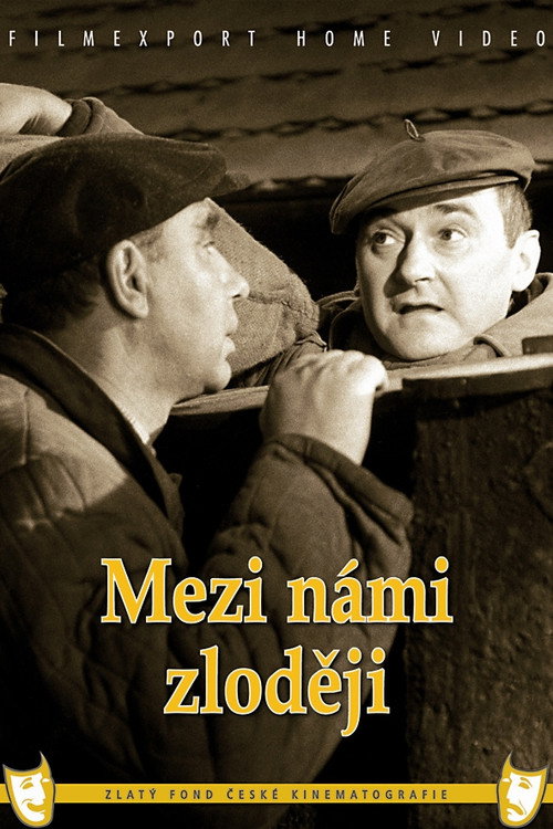 Mezi námi zloději poster