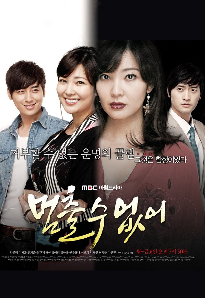 I Can't Stop poster