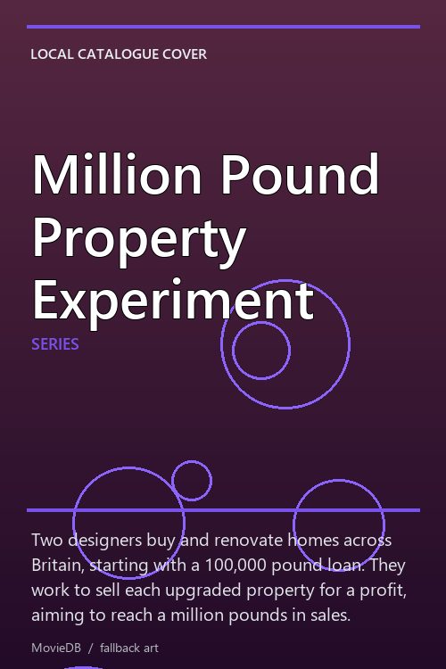 Million Pound Property Experiment poster