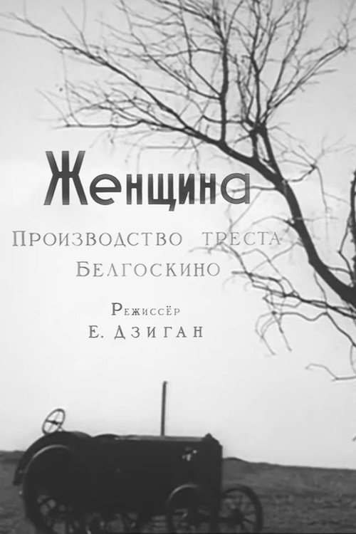 Woman's World poster