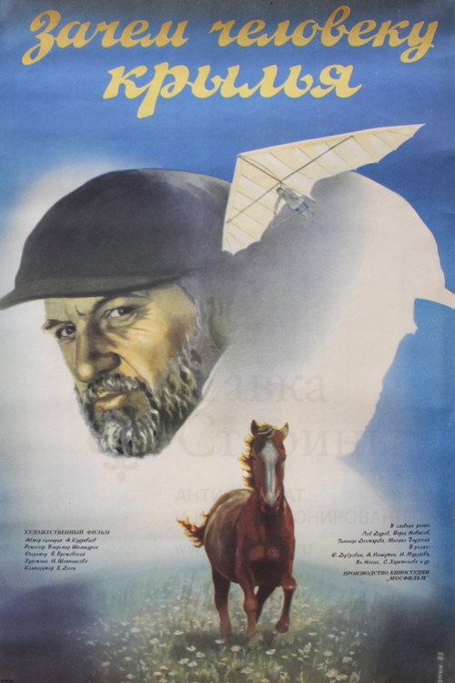 Why Does a Person Need Wings? poster