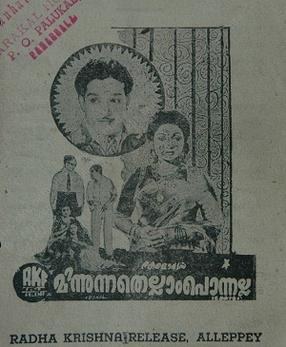 Minnunnathellam Ponnalla poster