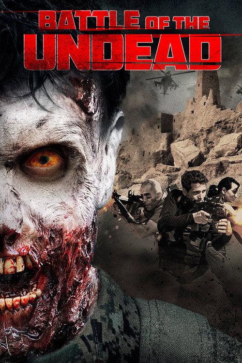 Cannon Fodder poster