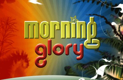 Morning Glory poster