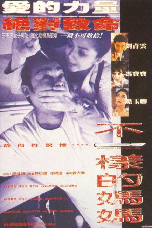 Mother of a Different Kind poster