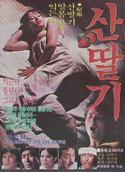 Mountain Strawberries poster