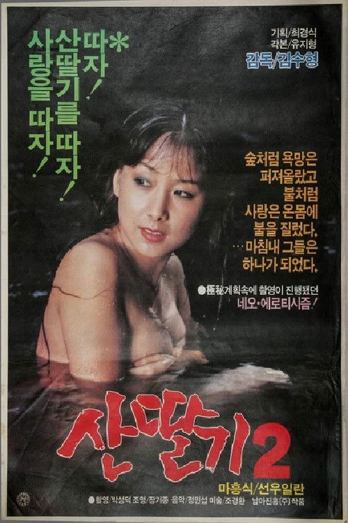 Mountain Strawberries 2 poster