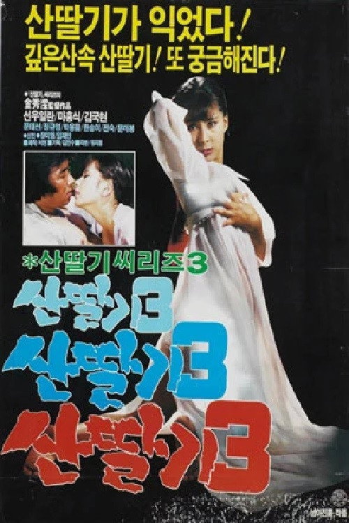 Mountain Strawberries 3 poster