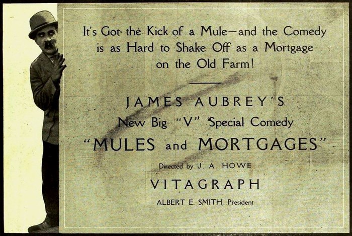 Mules and Mortgages poster