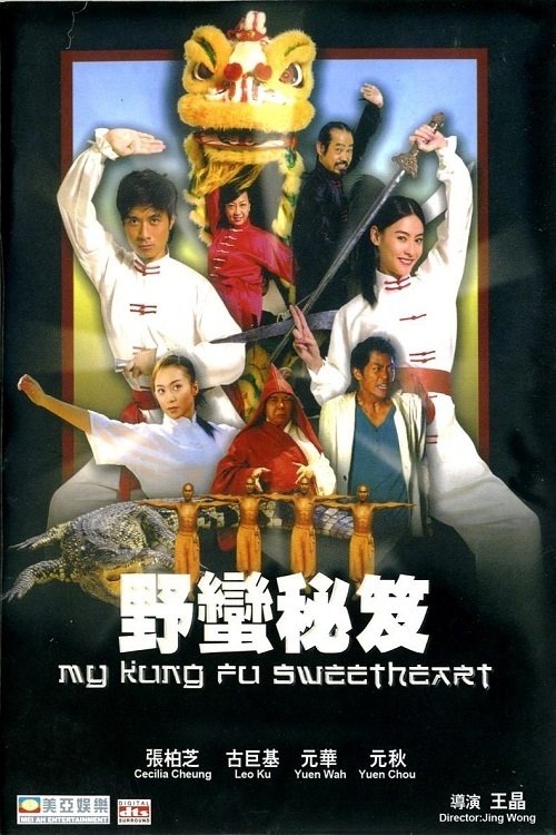 My Kung-Fu Sweetheart poster