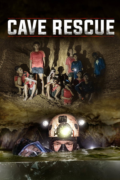 The Cave poster