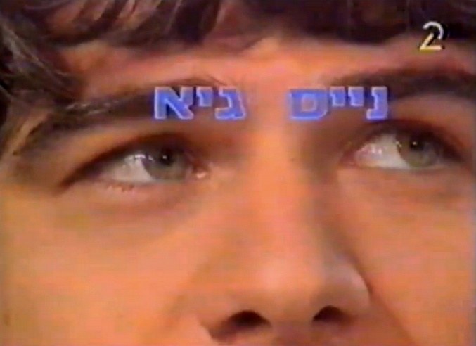 נייס גיא poster