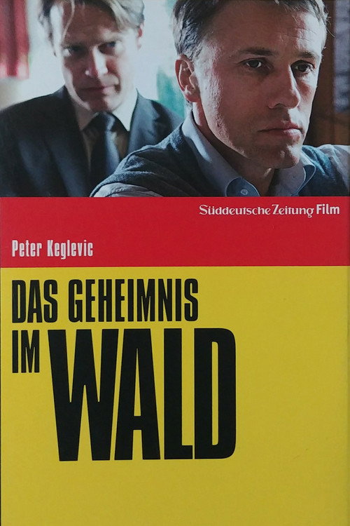 Das Geheimnis im Wald poster