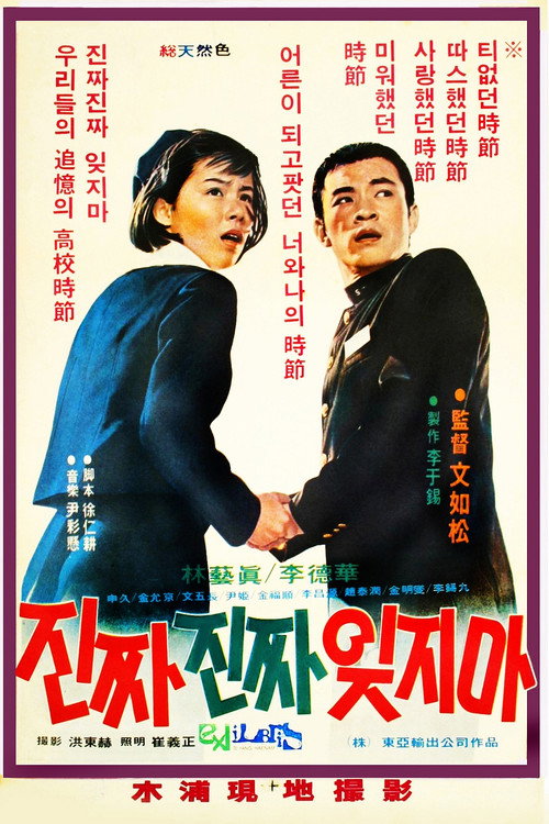 Never Forget Me poster