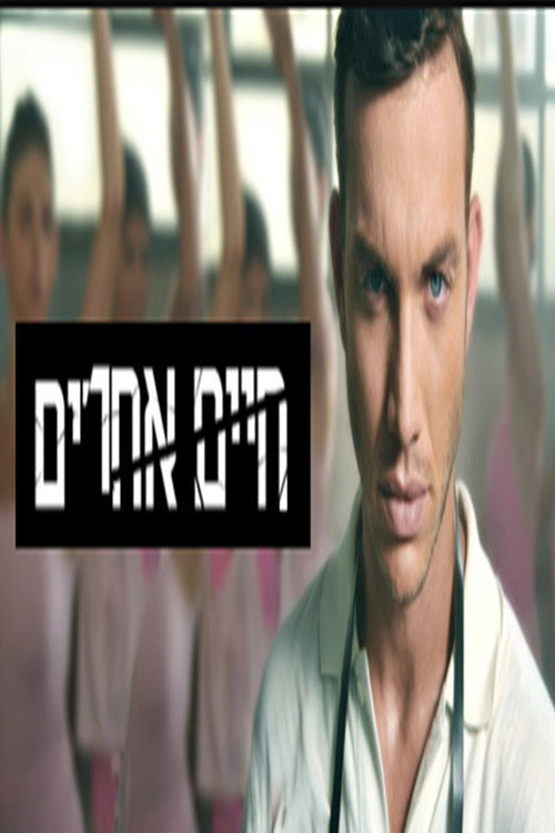 חיים אחרים poster