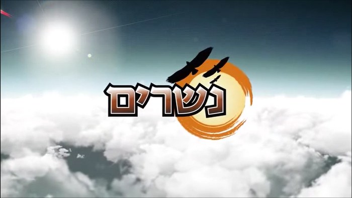 נשרים poster