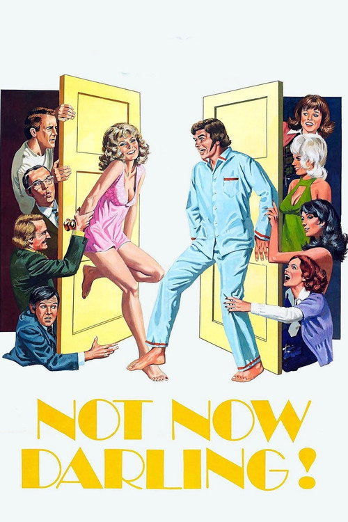 Not Now, Darling poster