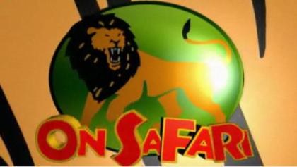 On Safari poster