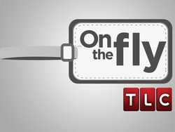On the Fly poster
