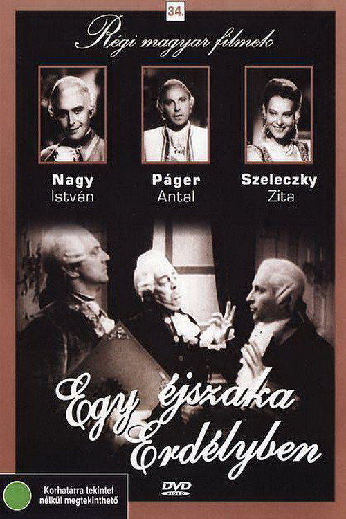 One Night in Transylvania poster