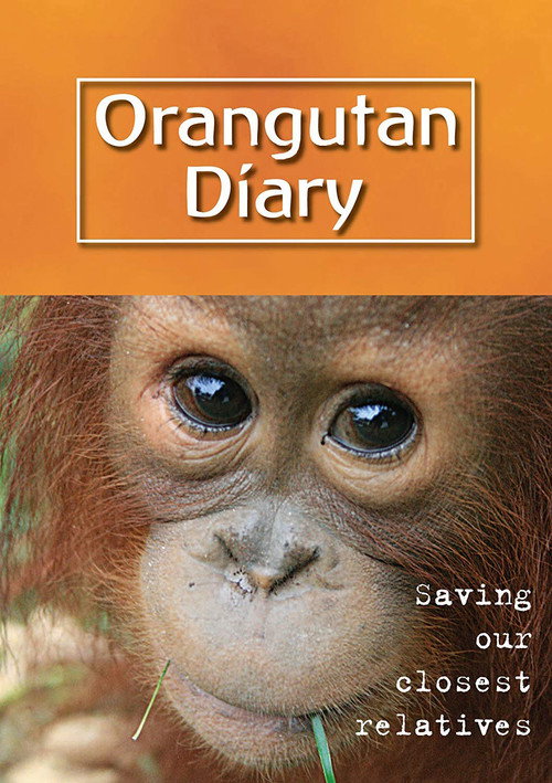 Orangutan Diary poster