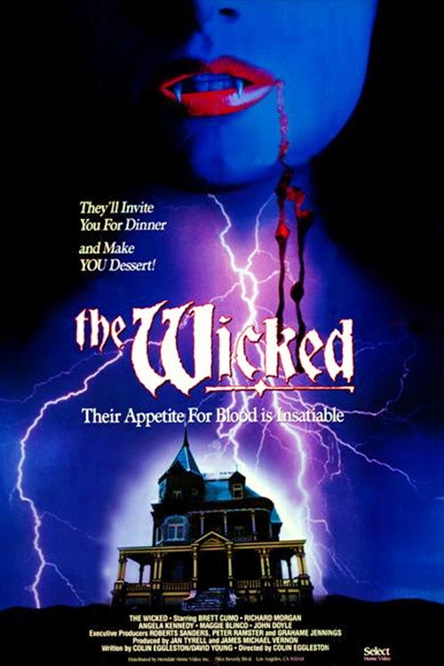Outback Vampires poster