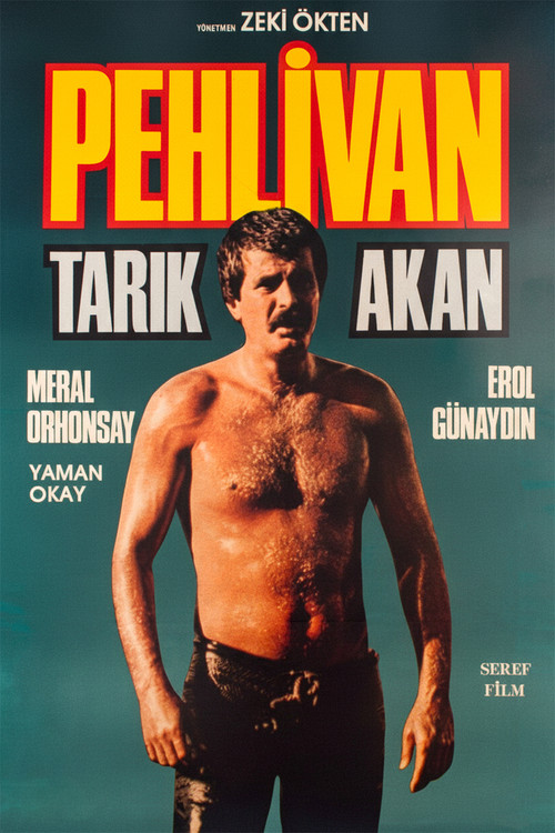 Pehlivan poster