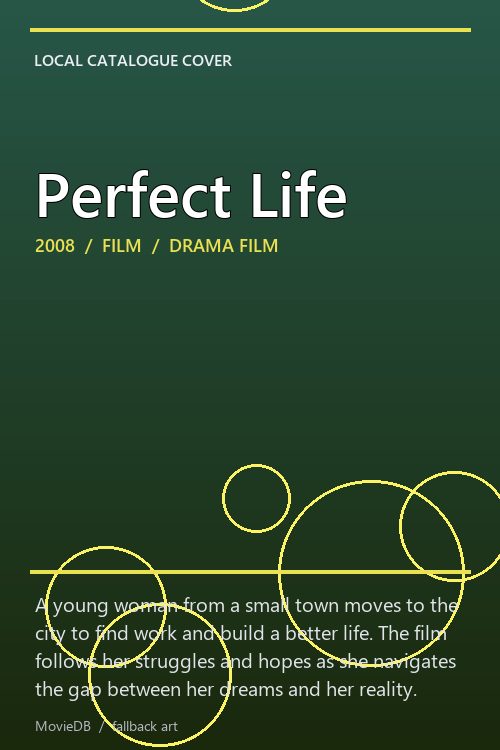 Perfect Life poster
