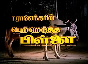 Pettredutha Pillai poster