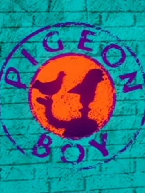 Pigeon Boy poster