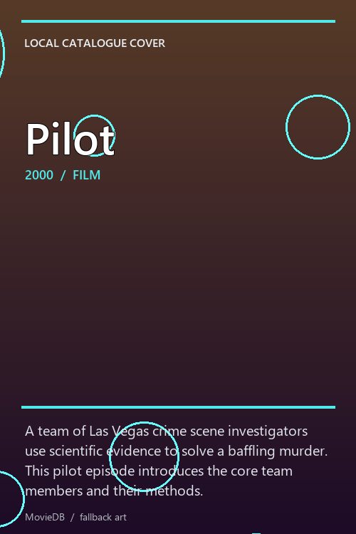 Pilot poster