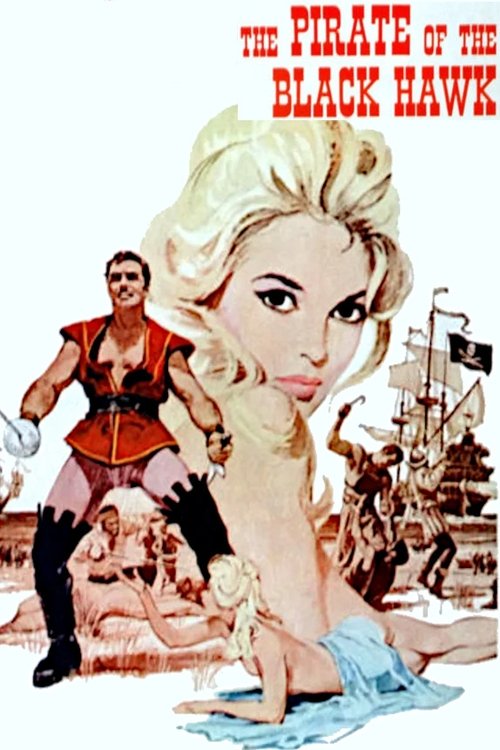 Pirate of the Black Hawk poster