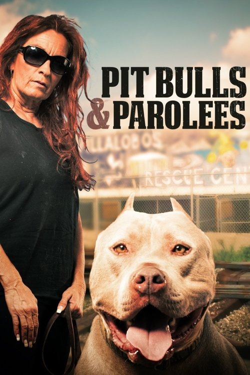 Pit Bulls & Parolees poster