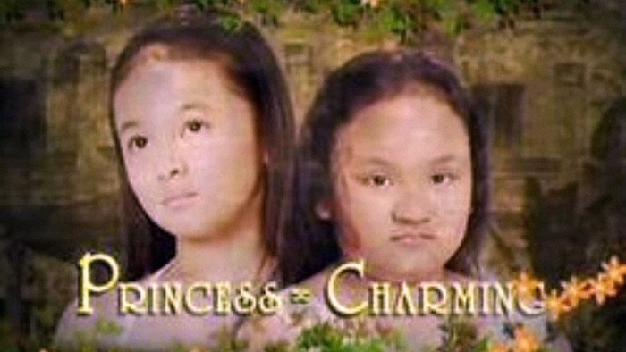 Princess Charming poster