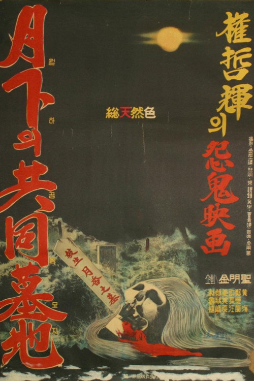 Public Cemetery poster