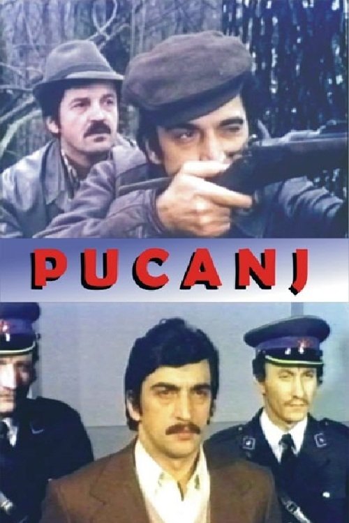 Pucanj poster
