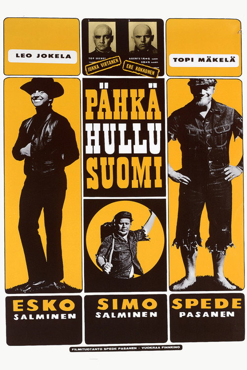 Crazy Finland poster
