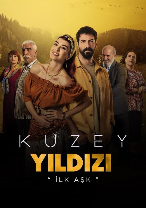 Kuzey Yıldızı İlk Aşk poster