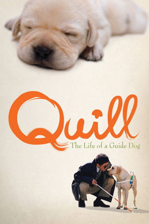 Quill poster
