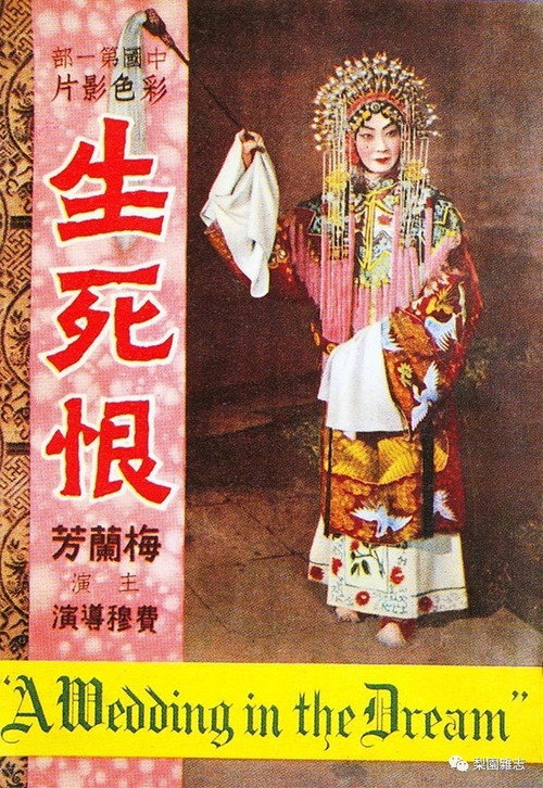 A Wedding in the Dream poster