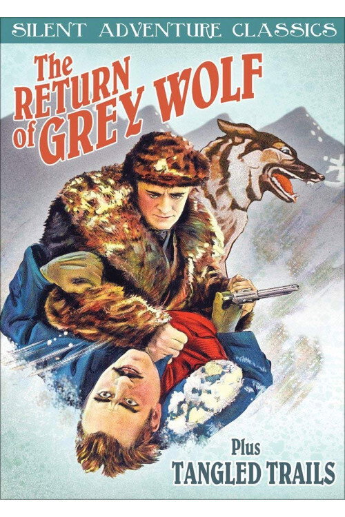 Return of Grey Wolf poster