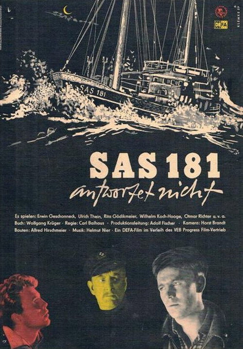 SAS 181 Does Not Reply poster