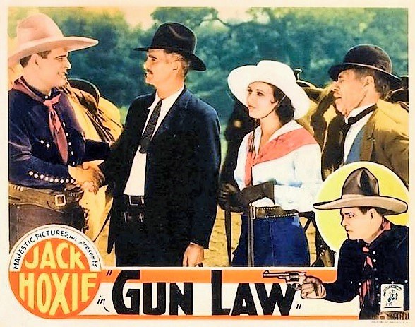 Gun Law poster