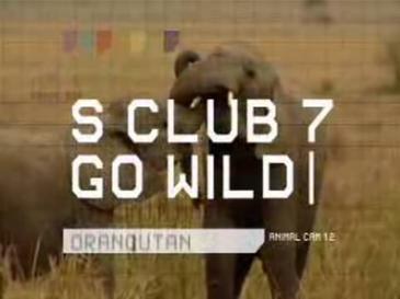 S Club 7 Go Wild! poster