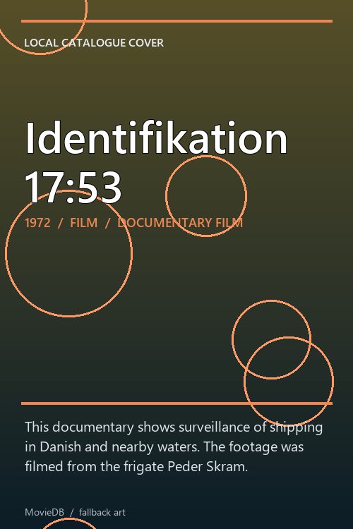 Identifikation 17:53 poster